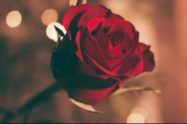 Romance 0ffer – your dream Valentine's Day