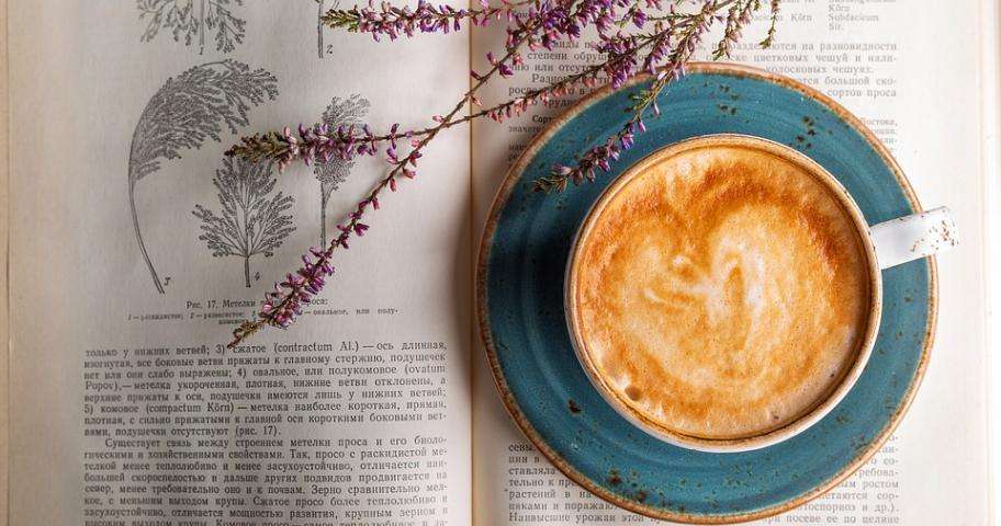 Oubliez la grisaille dans les cafés littéraires !
