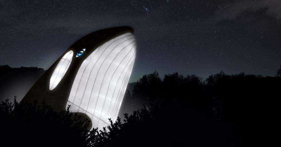 "Océan en voie d'illumination" : les illuminations de Noël selon le Jardin des Plantes