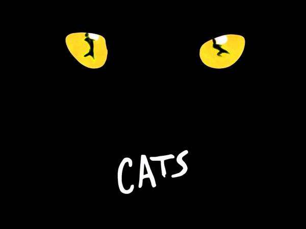 Do you know Cats - The Musical?