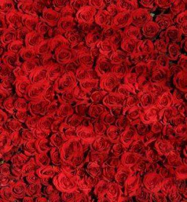 The best Paris cabarets for Valentine's Day